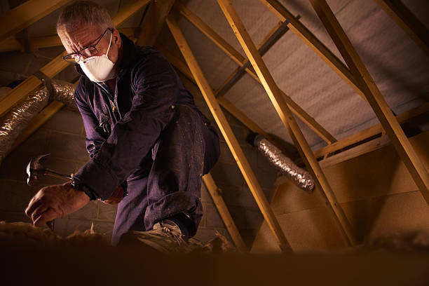 Best Residential Insulation in Tampa, FL
